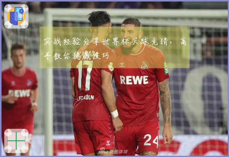 实战经验分享世界杯买球竞猜，高手教你稳赢技巧