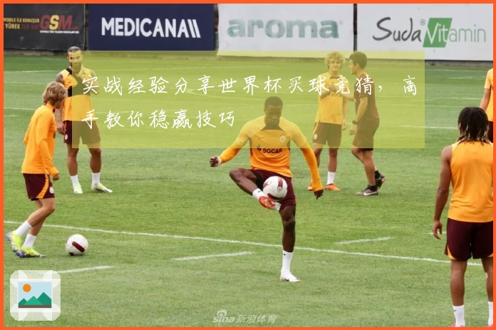 实战经验分享世界杯买球竞猜，高手教你稳赢技巧
