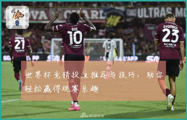 世界杯竞猜投注推荐与技巧，助你轻松赢得观赛乐趣
