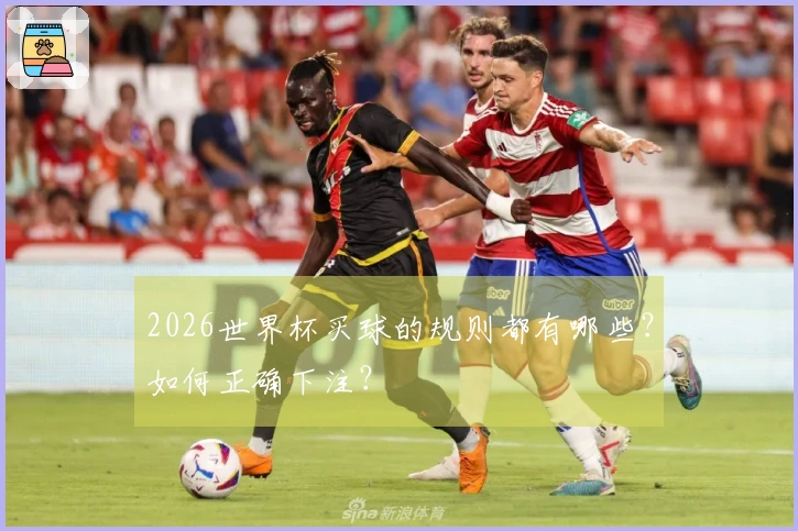 2026世界杯买球的规则都有哪些？如何正确下注？