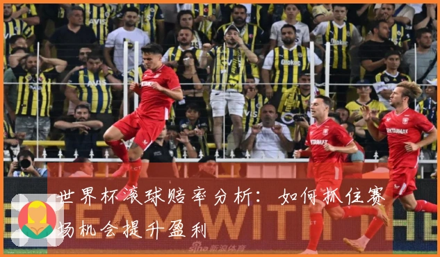 世界杯滚球赔率分析：如何抓住赛场机会提升盈利