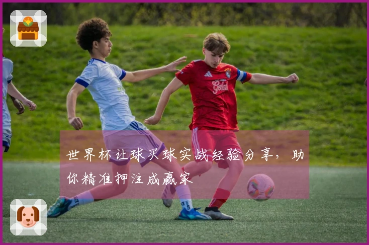 世界杯让球买球实战经验分享，助你精准押注成赢家