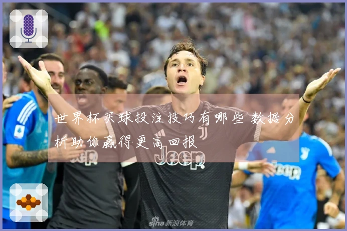 世界杯买球投注技巧有哪些 数据分析助你赢得更高回报