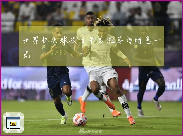 世界杯买球投注平台推荐与特色一览