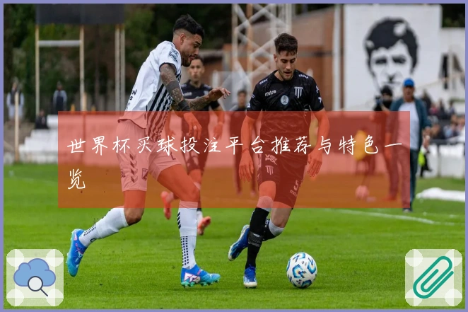 世界杯买球投注平台推荐与特色一览