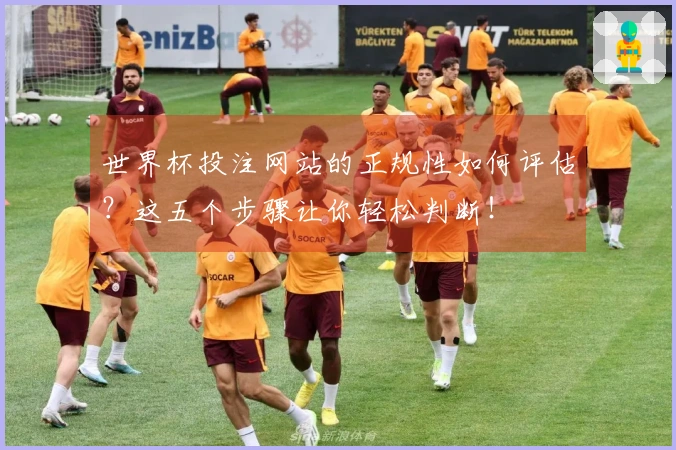 世界杯投注网站的正规性如何评估？这五个步骤让你轻松判断！