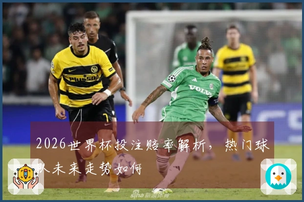 2026世界杯投注赔率解析，热门球队未来走势如何