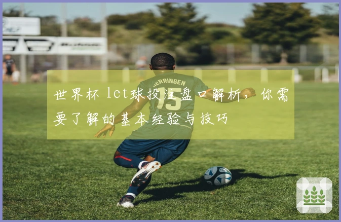 世界杯 let球投注盘口解析，你需要了解的基本经验与技巧